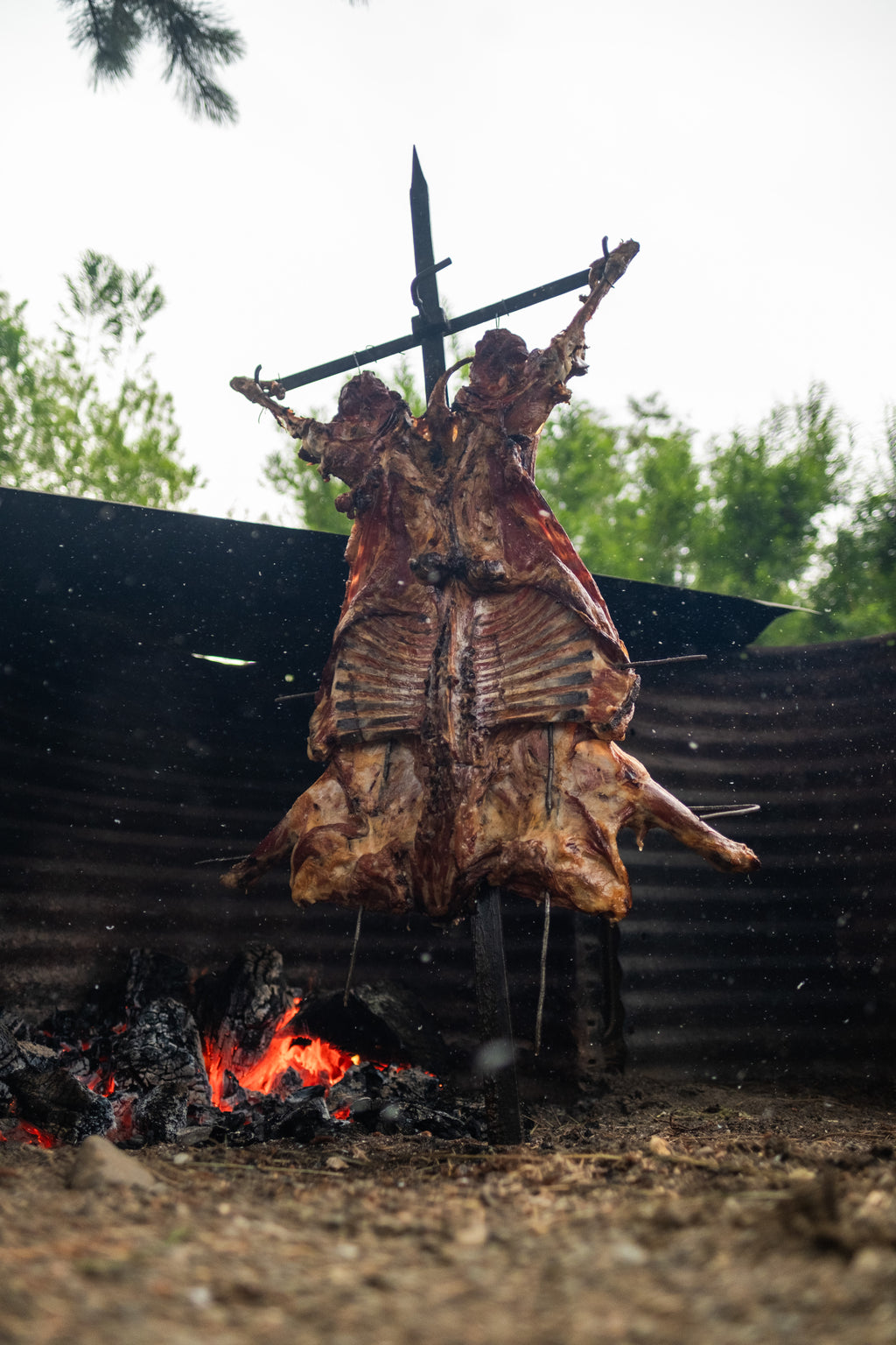🔥 Asado al Palo Patagónico | Cordero al Palo Tradicional en Puerto Río Tranquilo