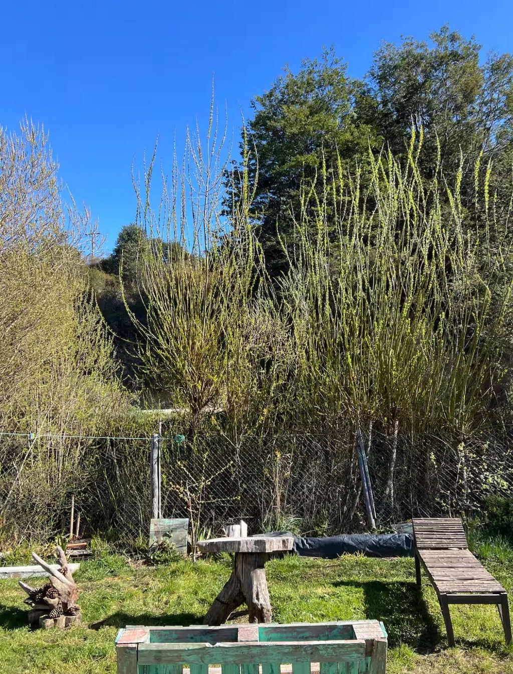 🏡 Cabañas Lo de Carlos | Alojamiento en Puerto Río Tranquilo, Patagonia Chile