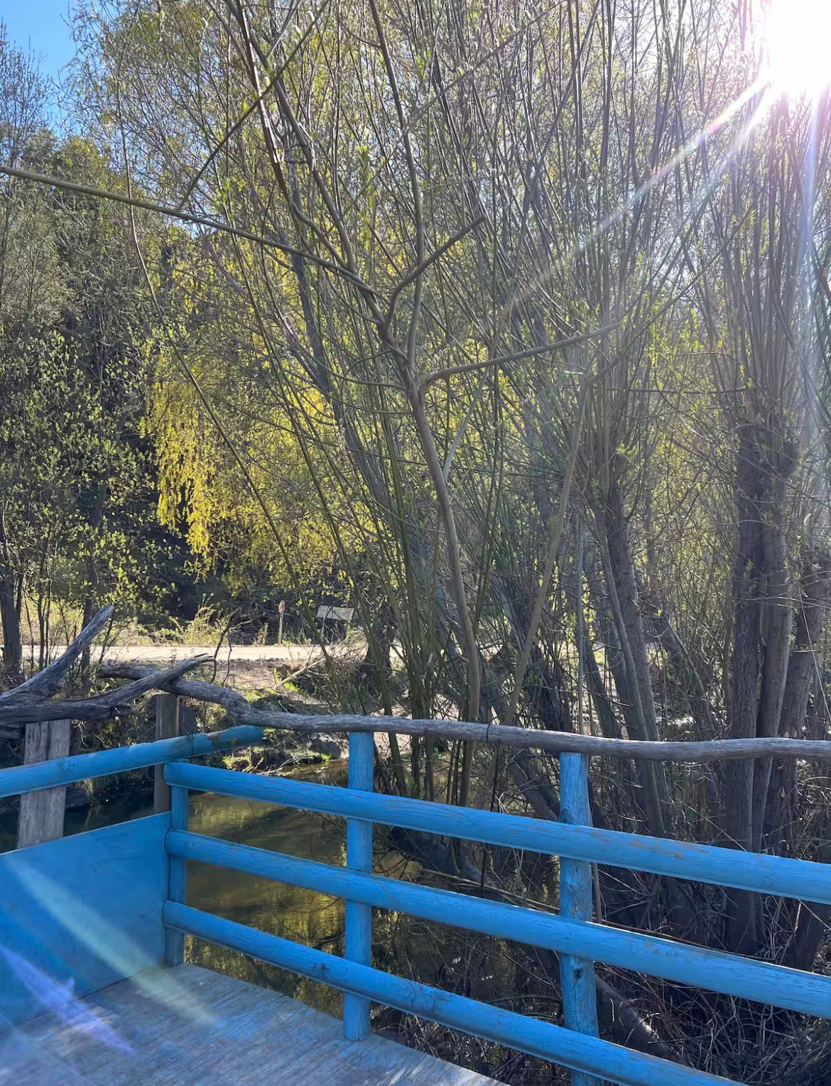 🏡 Cabañas Lo de Carlos | Alojamiento en Puerto Río Tranquilo, Patagonia Chile