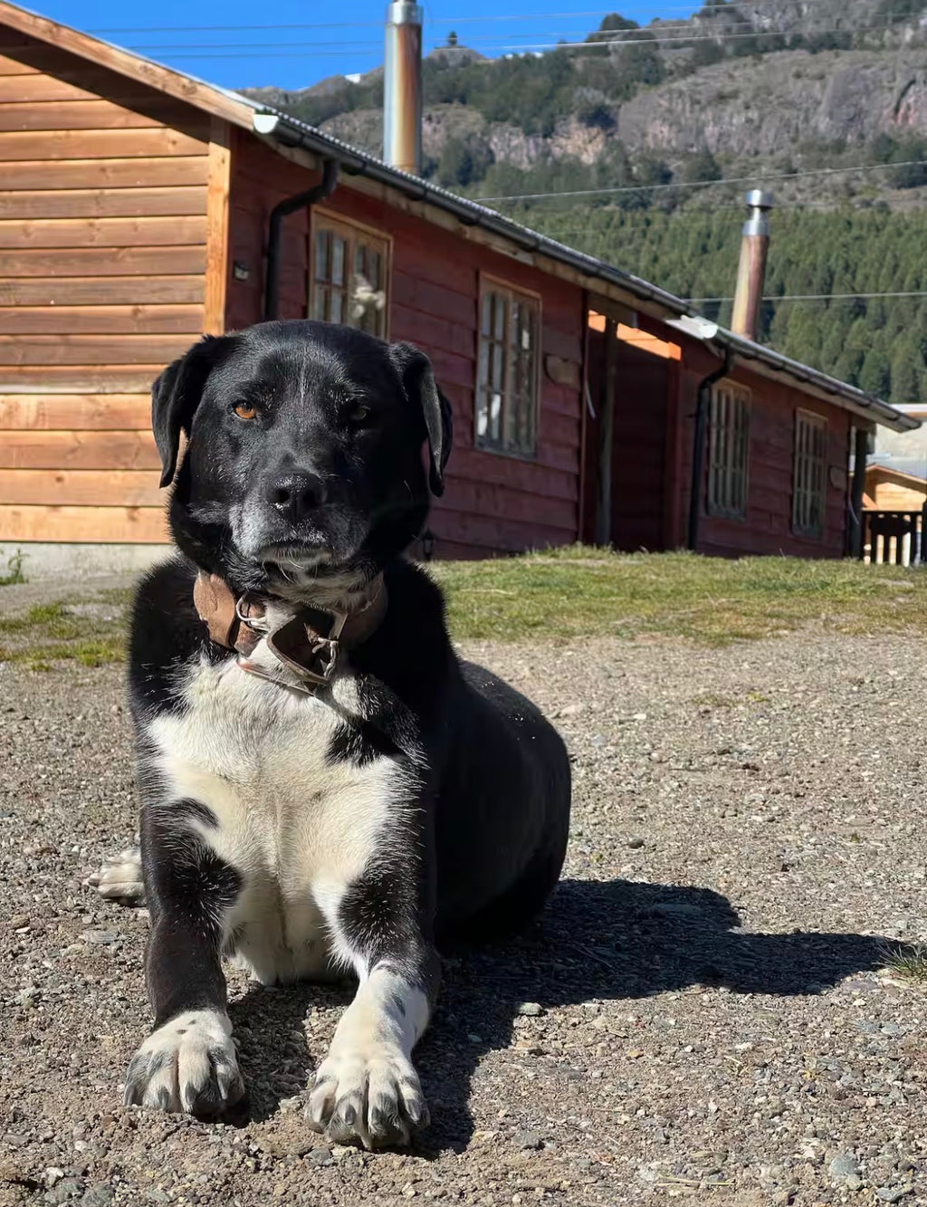 🏡 Cabañas Lo de Carlos | Alojamiento en Puerto Río Tranquilo, Patagonia Chile