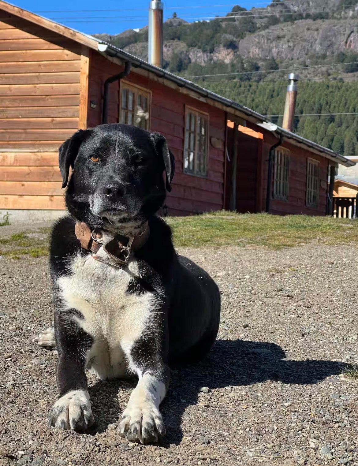 🏡 Cabañas Lo de Carlos | Alojamiento en Puerto Río Tranquilo, Patagonia Chile
