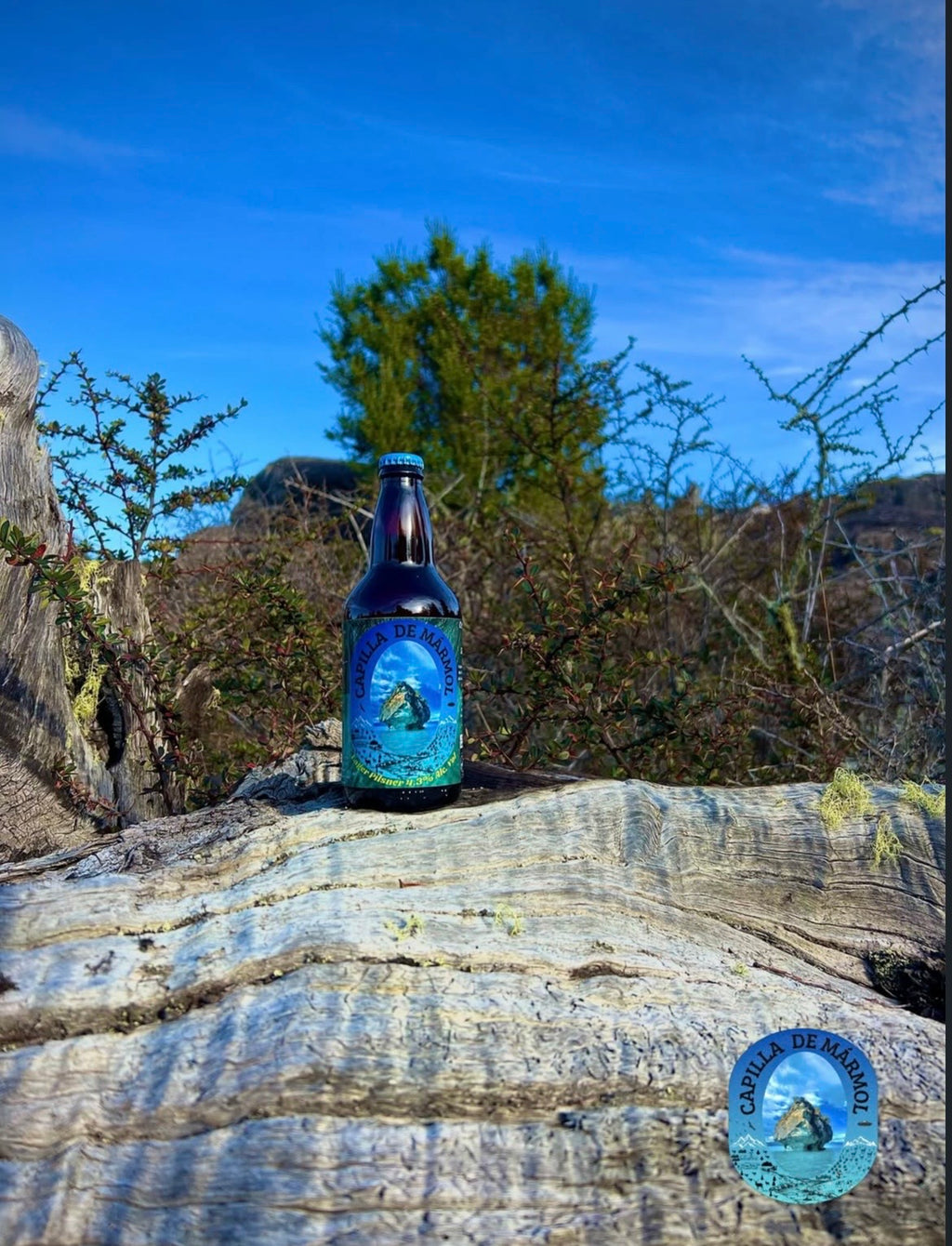 🍺 Cerveza Capilla de Mármol | Lager Artesanal de la Patagonia Chilena