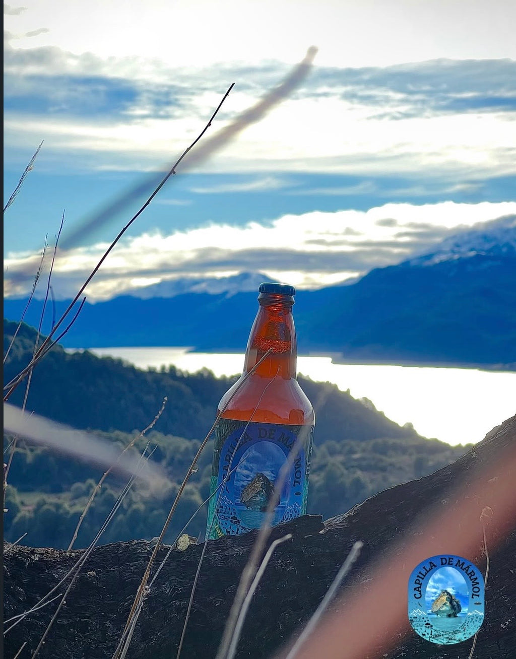 🍺 Cerveza Capilla de Mármol | Lager Artesanal de la Patagonia Chilena