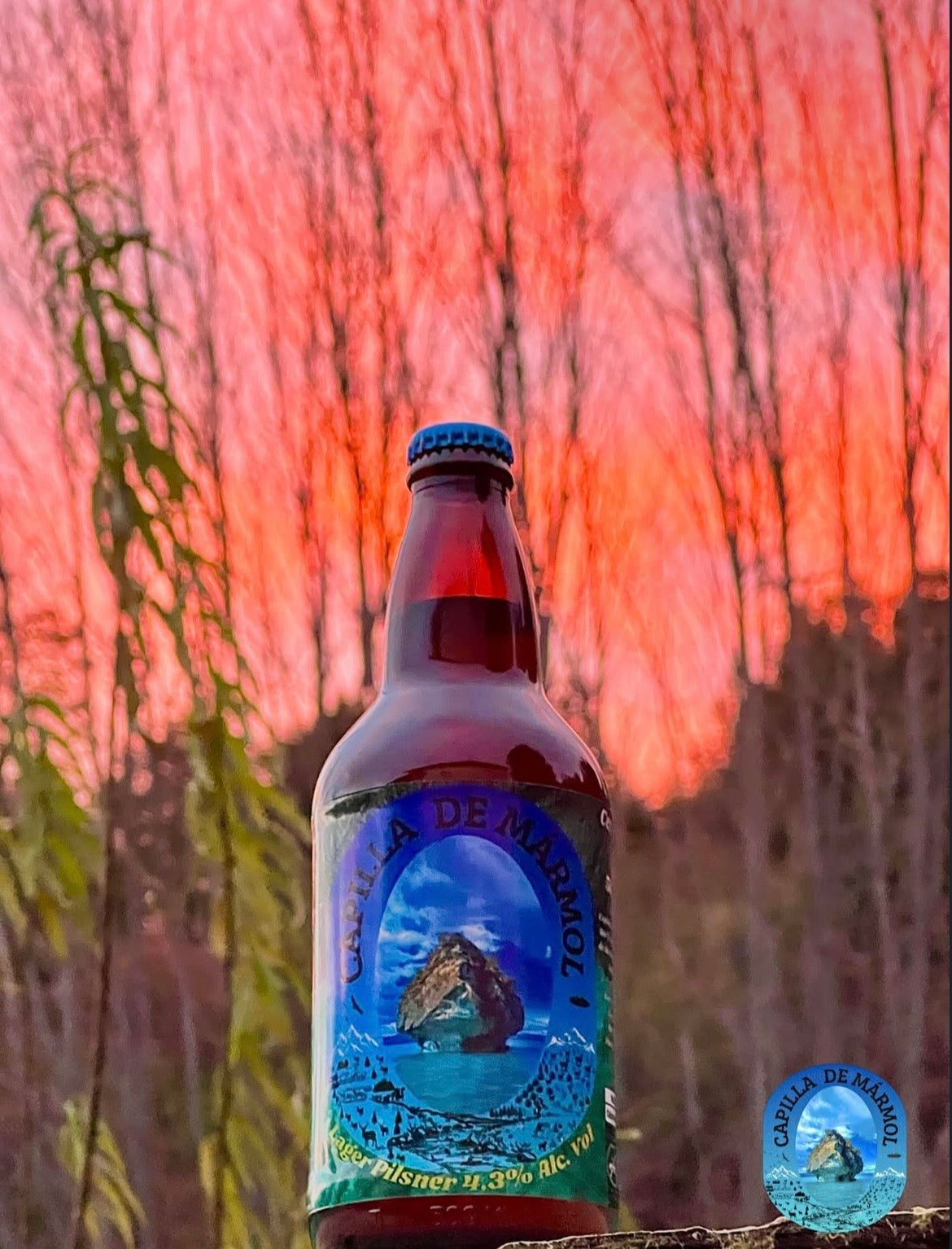 🍺 Cerveza Capilla de Mármol | Lager Artesanal de la Patagonia Chilena