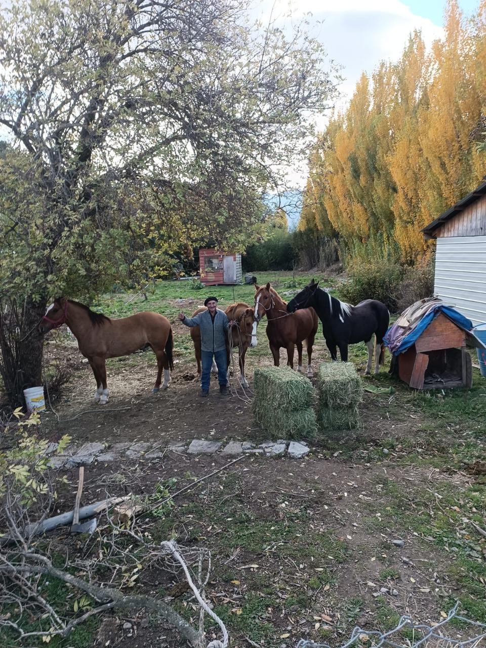 🐎 Cabalgatas en Puerto Río Tranquilo | Experiencia Patagónica con Gaucho Local