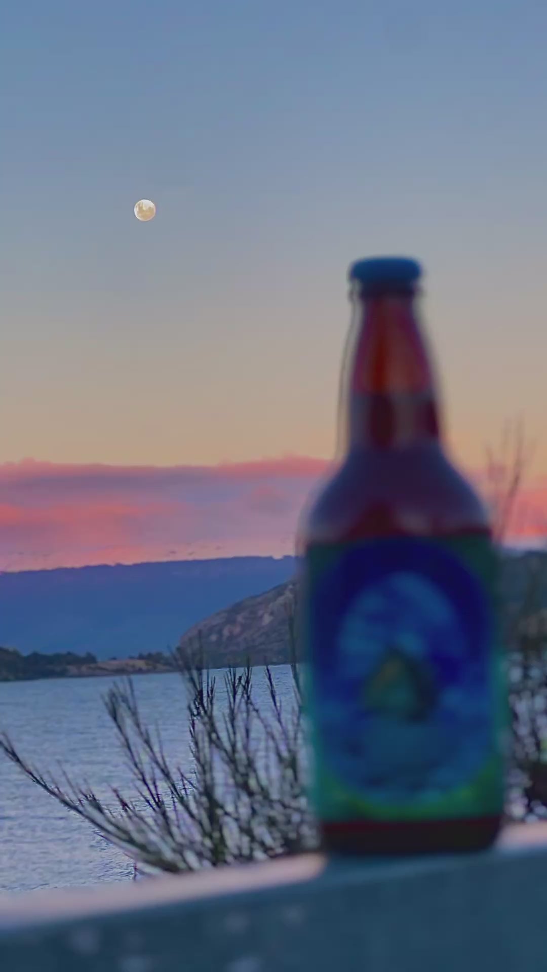 🍺 Cerveza Capilla de Mármol | Lager Artesanal de la Patagonia Chilena