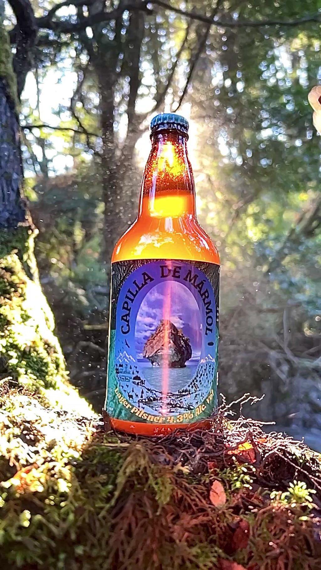 🍺 Cerveza Capilla de Mármol | Lager Artesanal de la Patagonia Chilena