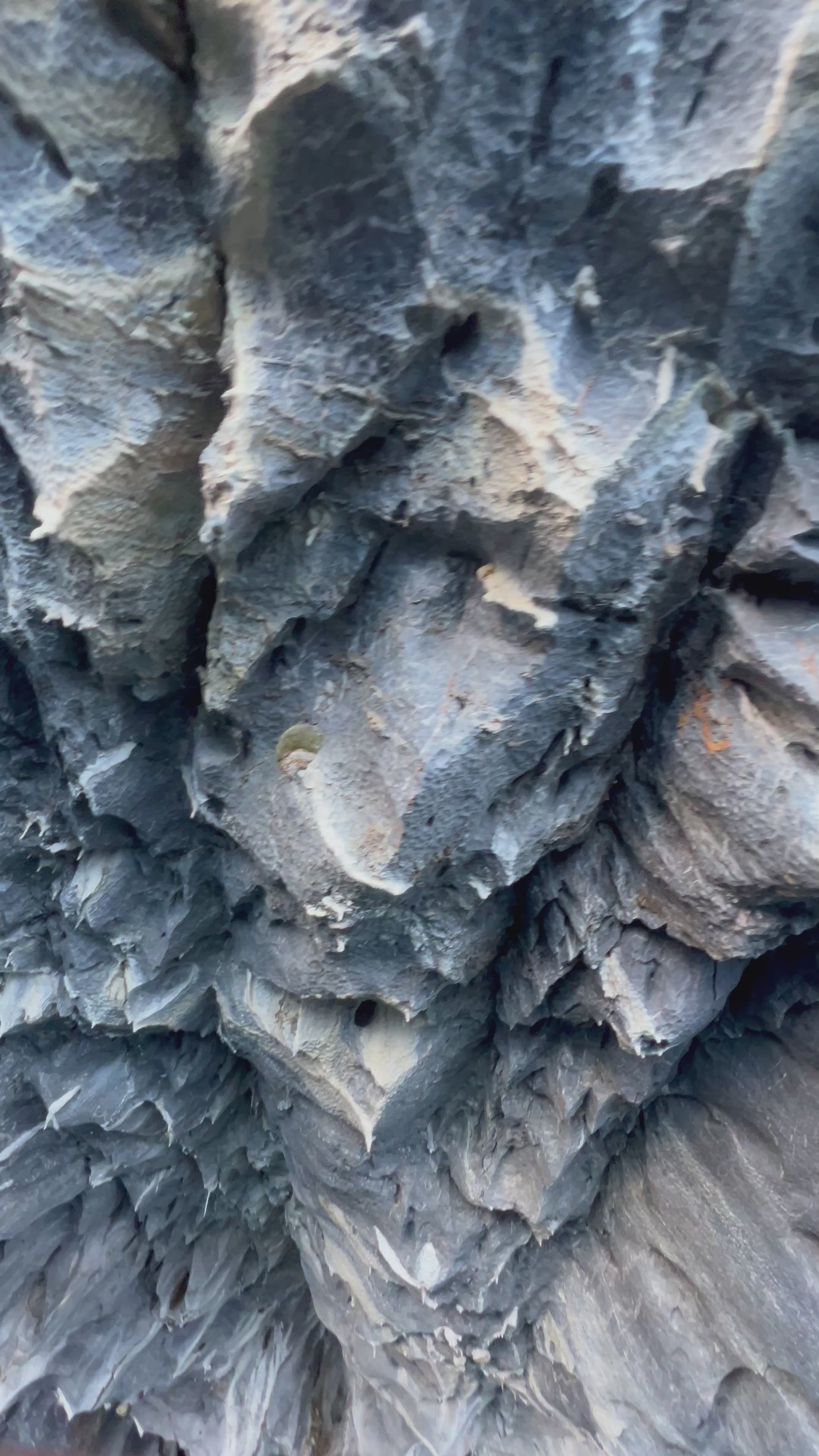 🚤 Full Mármol | El Tour Más Completo a las Capillas de Mármol desde Puerto Río Tranquilo